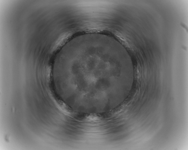 X0000099470742200805091547