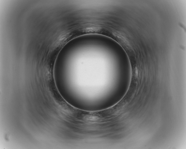 X0000099470743200805091547