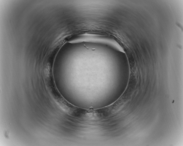 X0000099470744200805091547