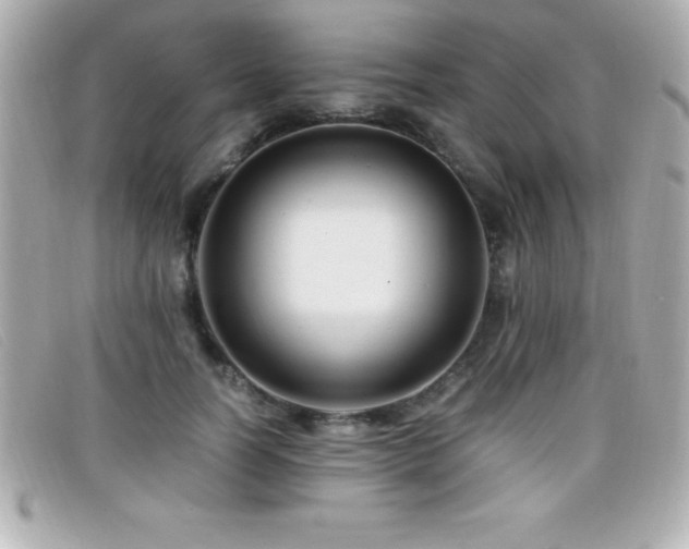X0000099470746200805091547