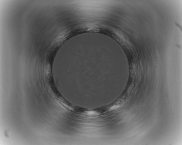 X0000099470748200805091547