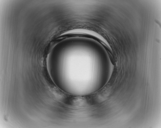 X0000099470750200805091547