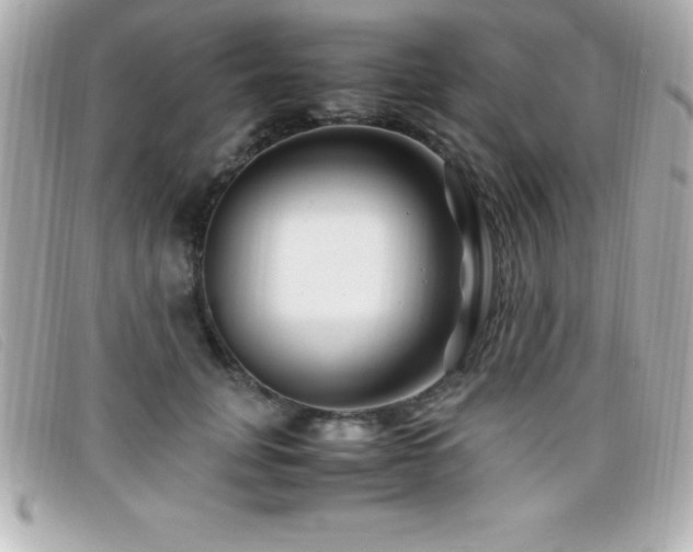 X0000099470751200805091547