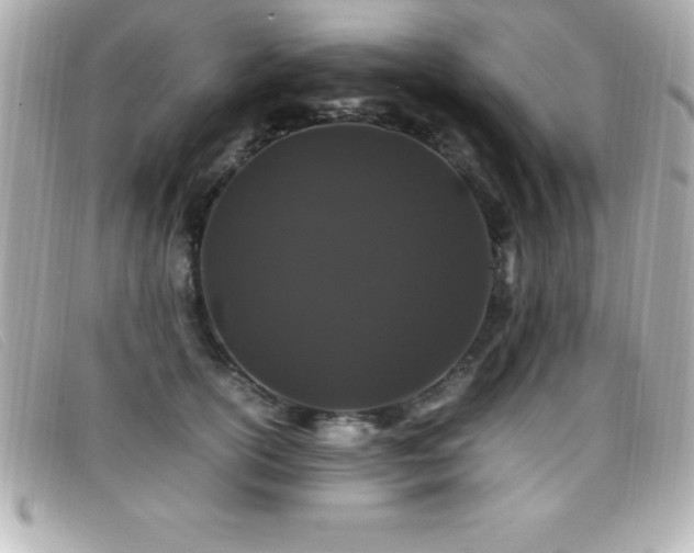 X0000099470754200805091547