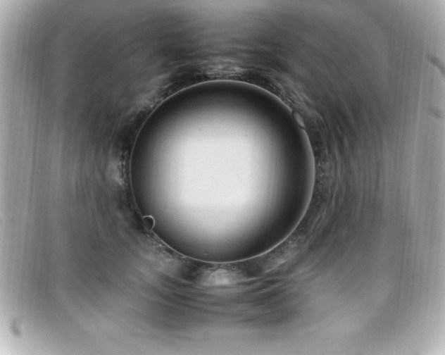 X0000099470755200805091547