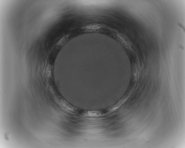 X0000099470758200805091547
