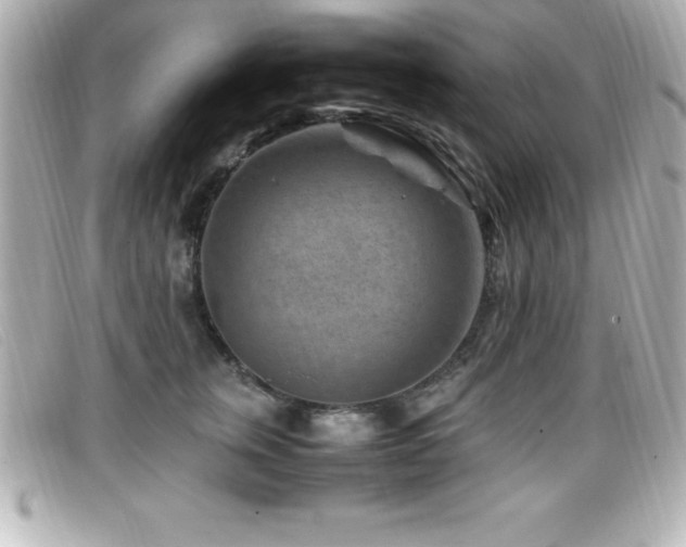 X0000099470759200805091547