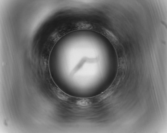 X0000099470761200805091547