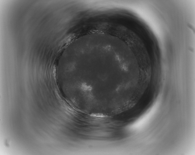 X0000099470767200805091547