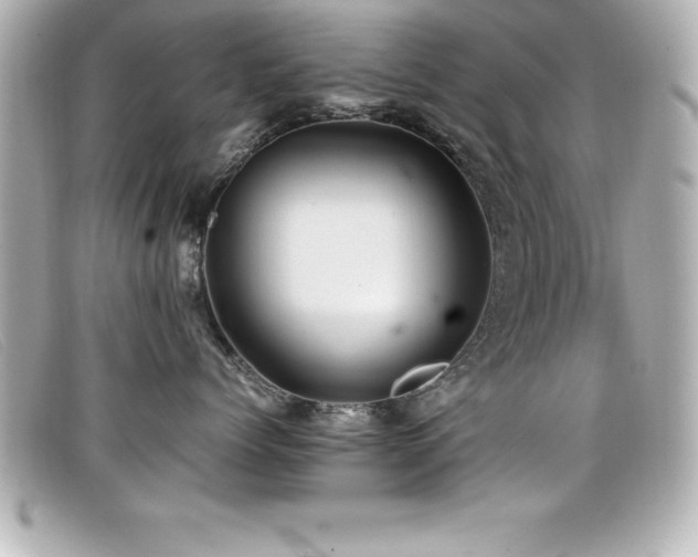 X0000099470768200805091547