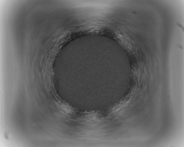 X0000099470769200805091546