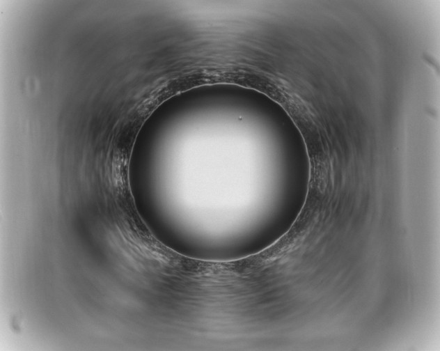 X0000099470770200805091546