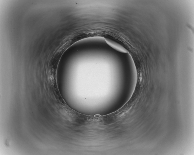 X0000099470771200805091546