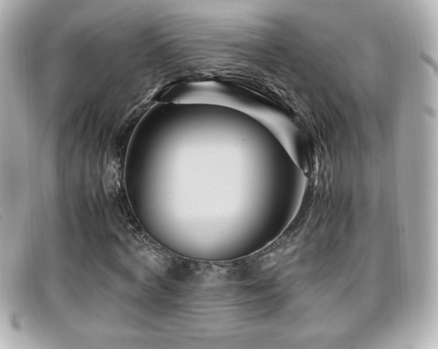 X0000099470772200805091546