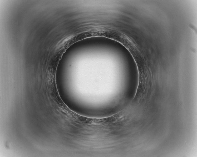 X0000099470773200805091546