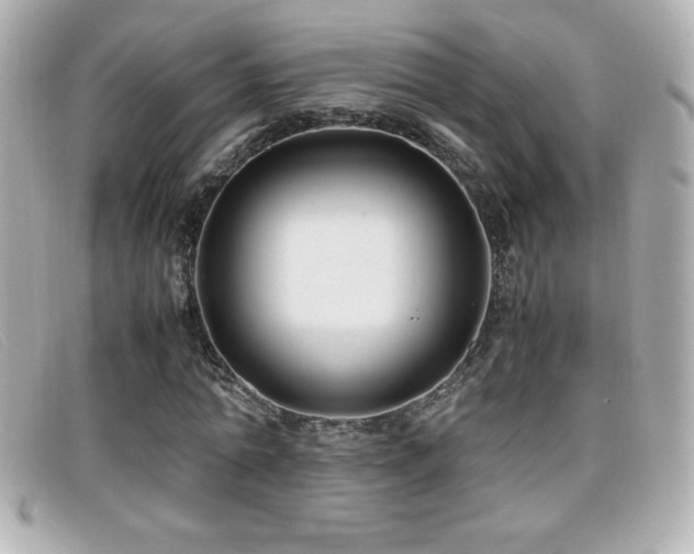 X0000099470774200805091546