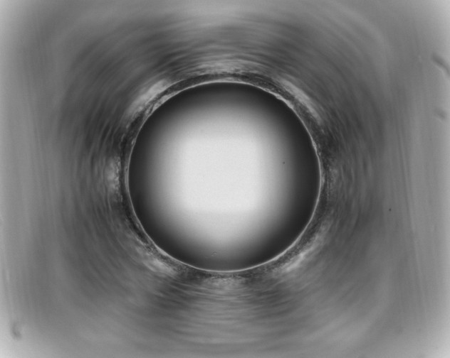 X0000099470778200805091546