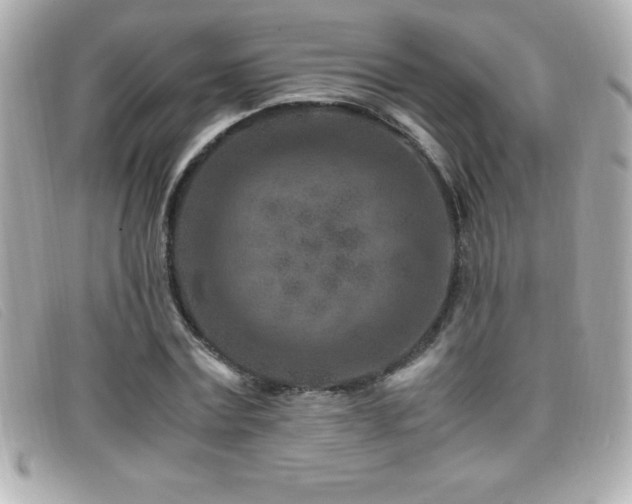 X0000099470779200805091546