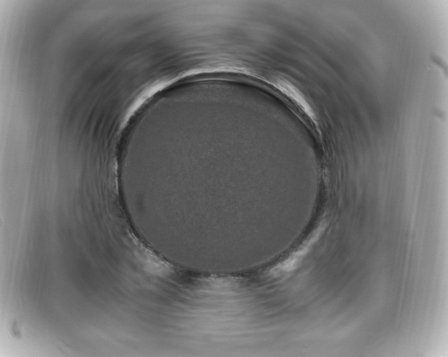 X0000099470781200805091546