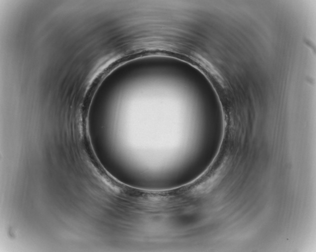 X0000099470782200805091546