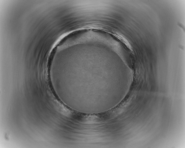 X0000099470784200805091546