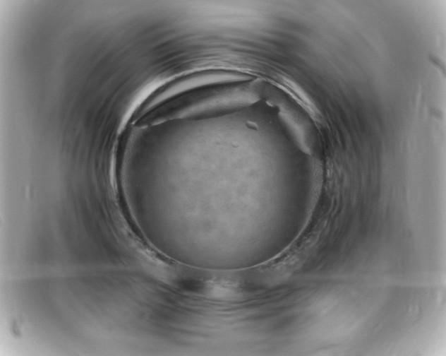 X0000099470788200805091546