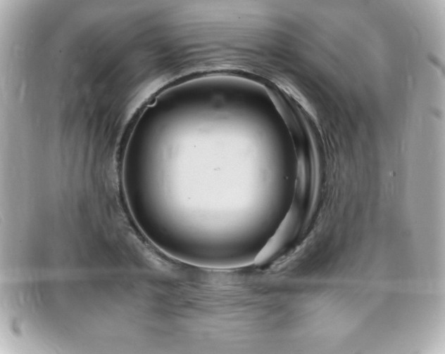 X0000099470789200805091546