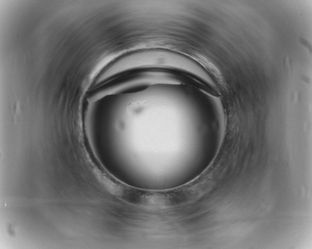 X0000099470792200805091546