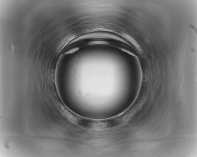 X0000099470793200805091546