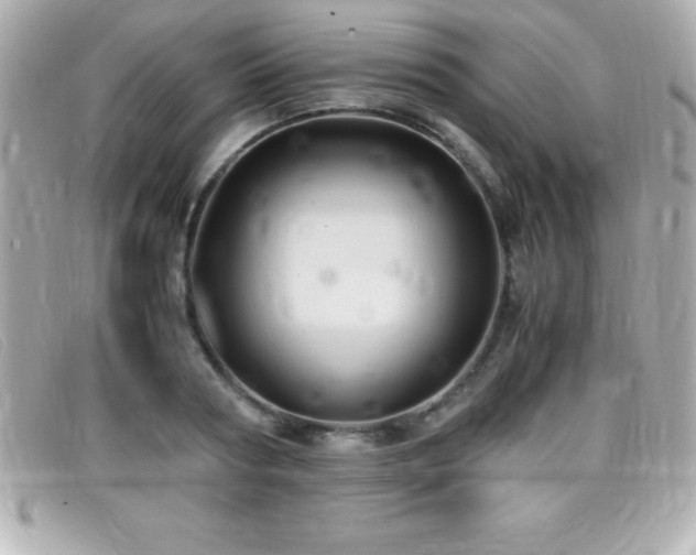 X0000099470794200805091546
