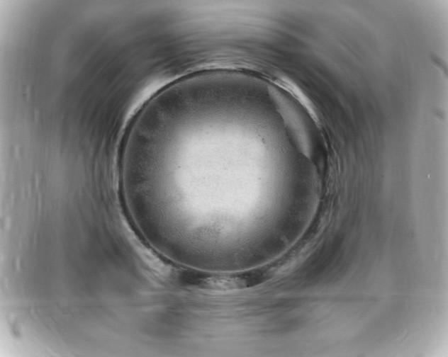 X0000099470795200805091546