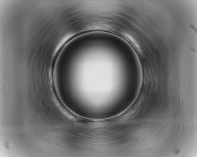 X0000099470796200805091546