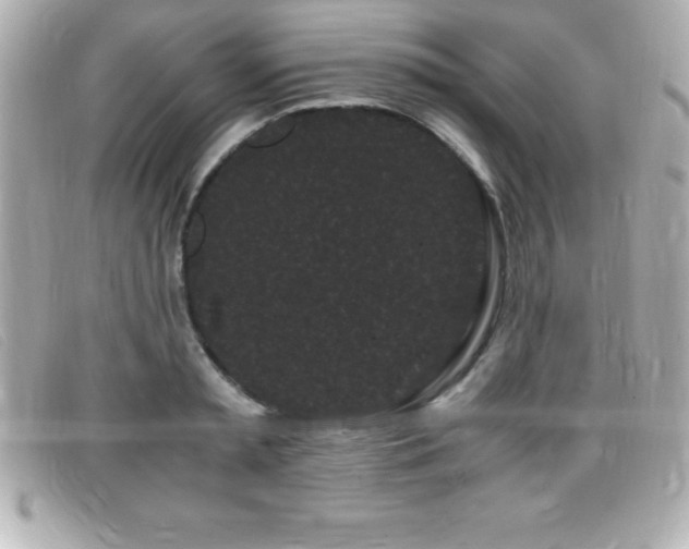 X0000099470797200805091546