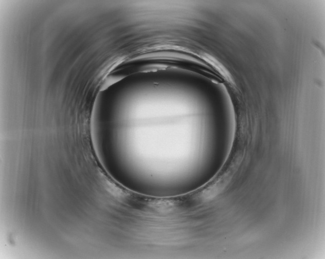 X0000099470801200805091546
