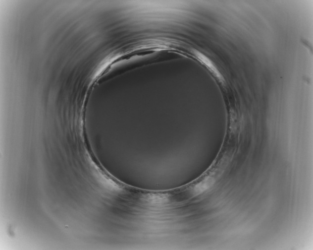 X0000099470802200805091546