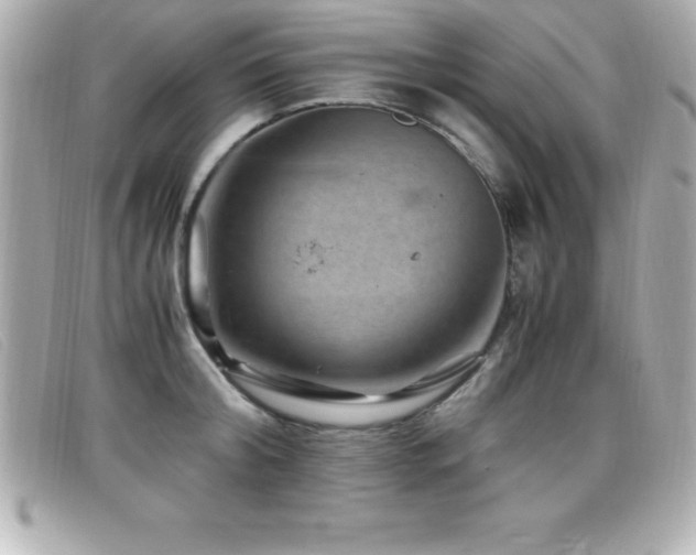 X0000099470804200805091546