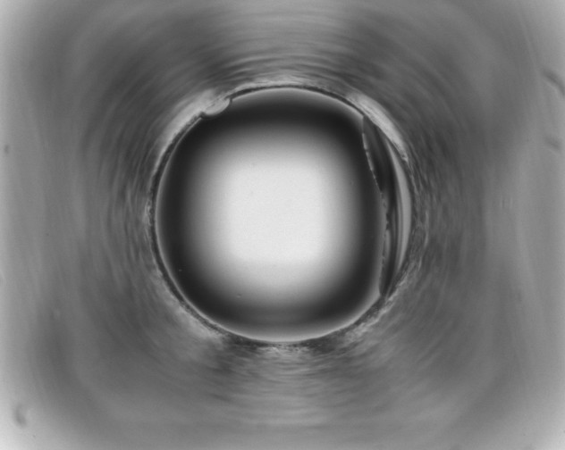 X0000099470805200805091546