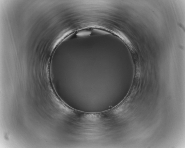 X0000099470806200805091546
