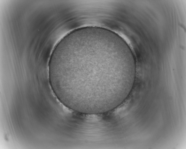 X0000099470807200805091546