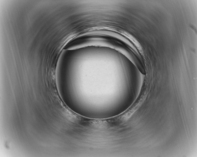 X0000099470809200805091546