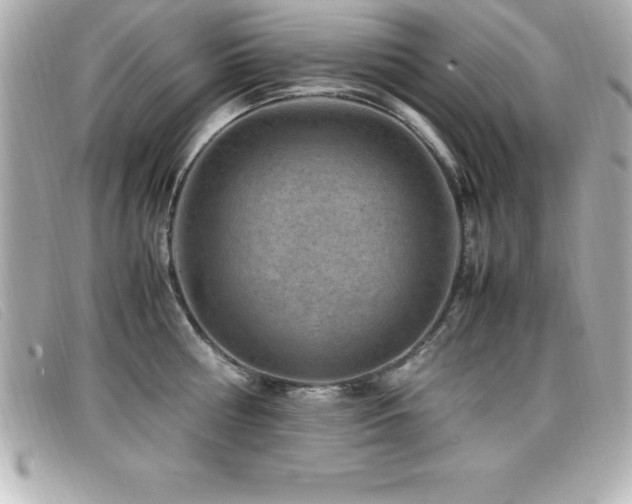 X0000099470810200805091546