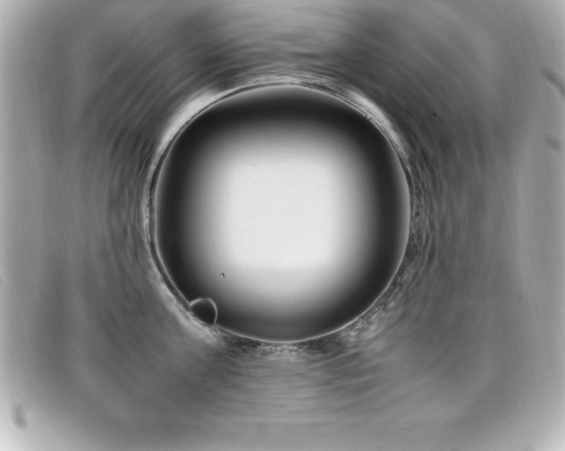 X0000099470811200805091546