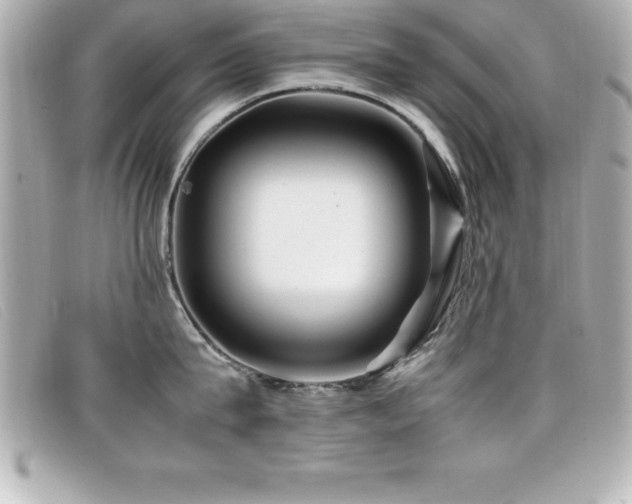 X0000099470815200805091546