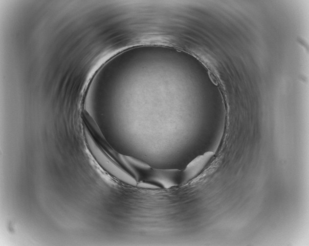 X0000099470816200805091546