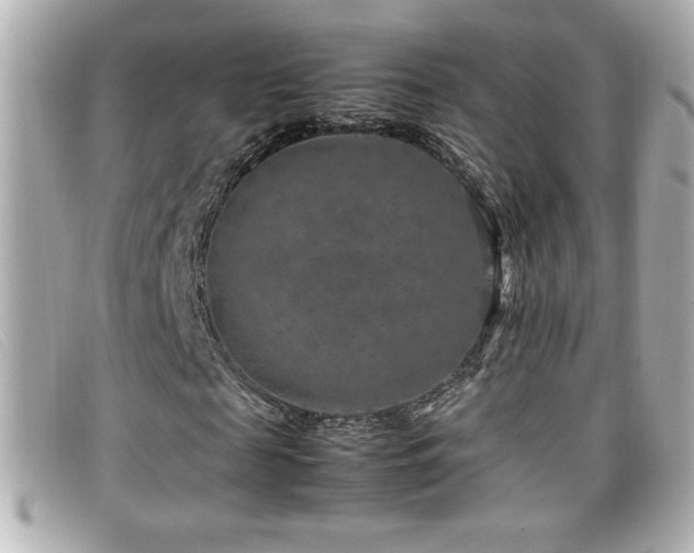 X0000099470817200805091545