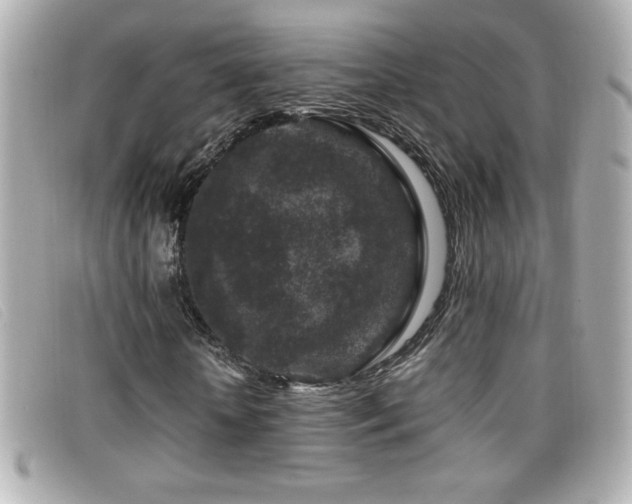 X0000099470818200805091545
