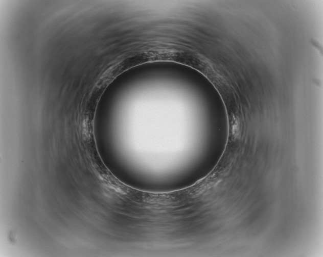X0000099470819200805091545