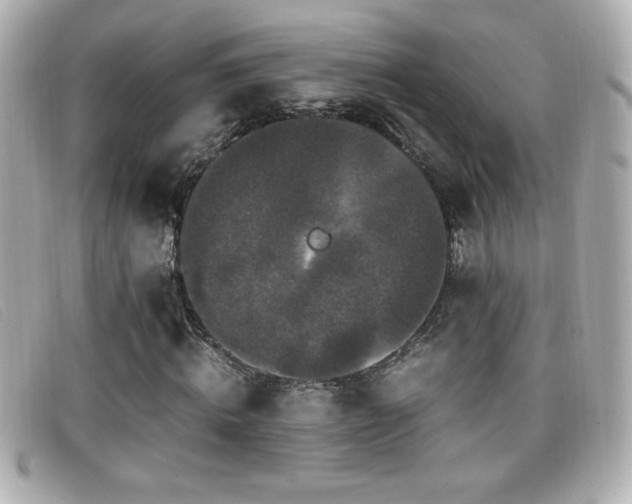 X0000099470820200805091545