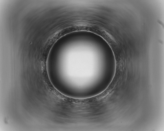 X0000099470821200805091545