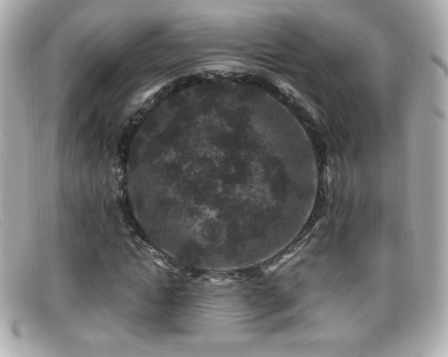X0000099470822200805091545